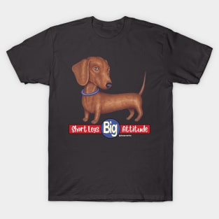 Doxie cute awesome attitude Dachshund with Blue Collar T-Shirt